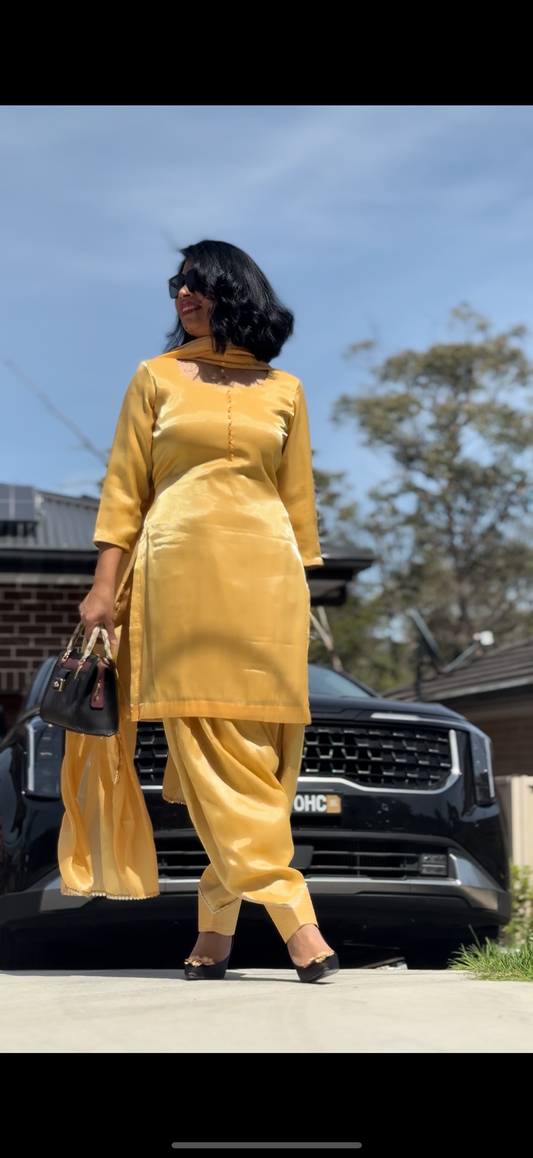 Salwar suit / Punjabi suit