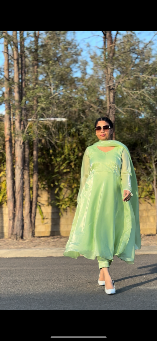 Elegant Anarkali Dress | Indian Anarkali Suit in Australia – Mehar Punjab Designs