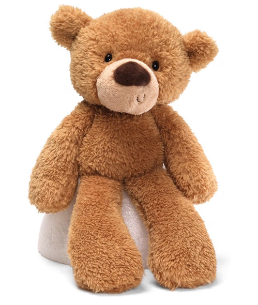 Soft toy kids rakhi gift teddy bear
