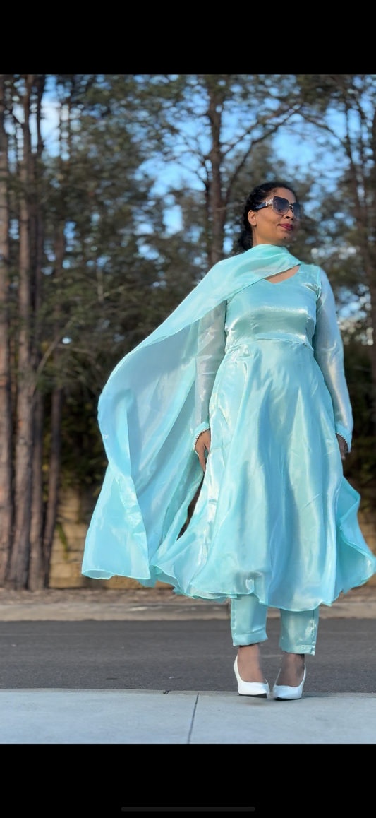Elegant Anarkali Dress | Indian Anarkali Suit in Australia – Mehar Punjab Designs